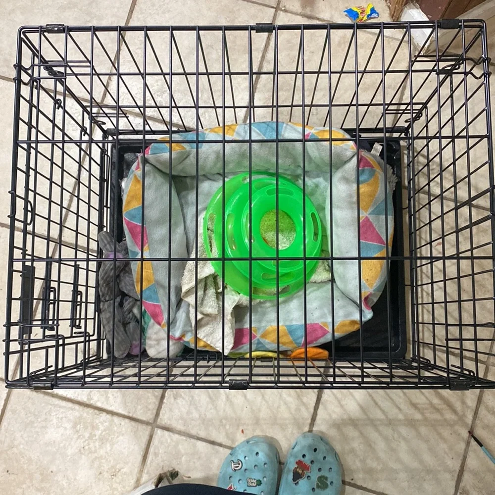 just a dog crate
